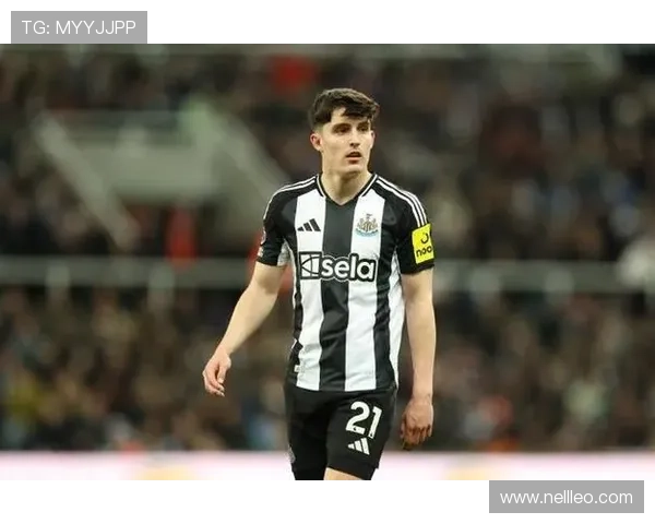 英超利夫拉门托